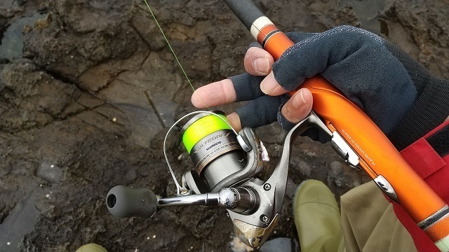 Daiwa ルビアス みずべのぞきこむ