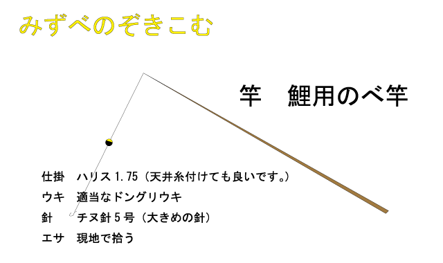 コンパスはマイソウル みずべのぞきこむ