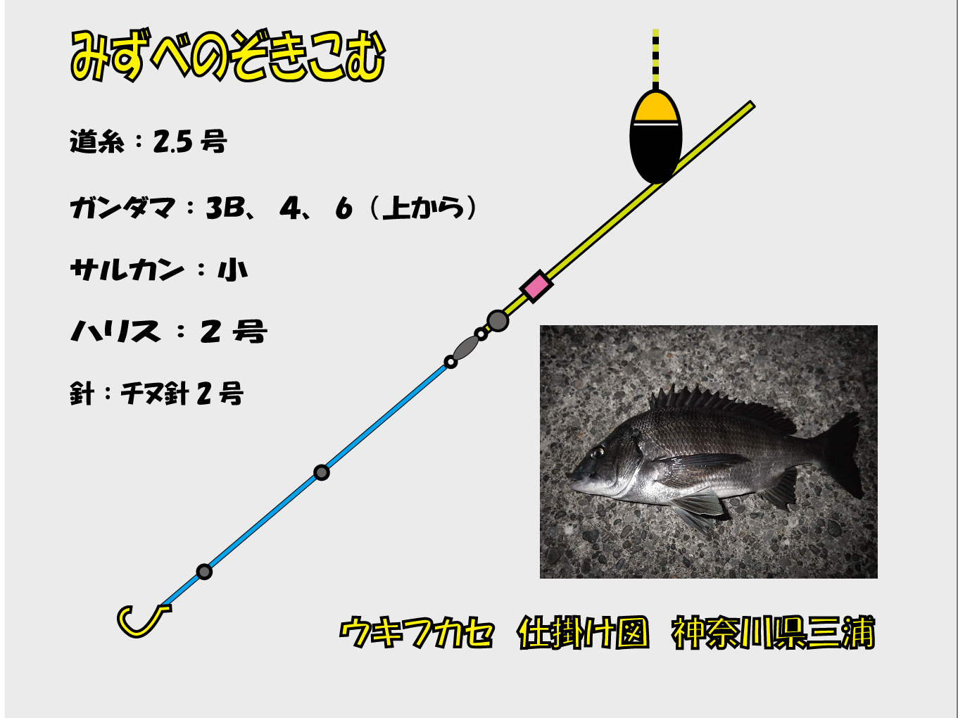 チヌ仕掛け 三浦編 みずべのぞきこむ